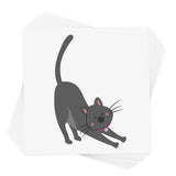 KITTY CAT STRETCH